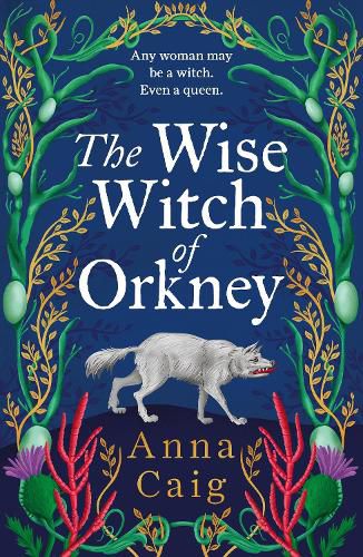 Cover image for The Wise Witch of Orkney