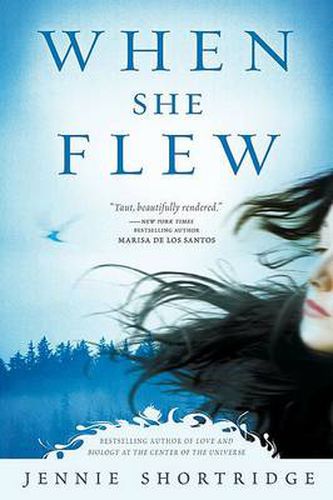 Cover image for When She Flew