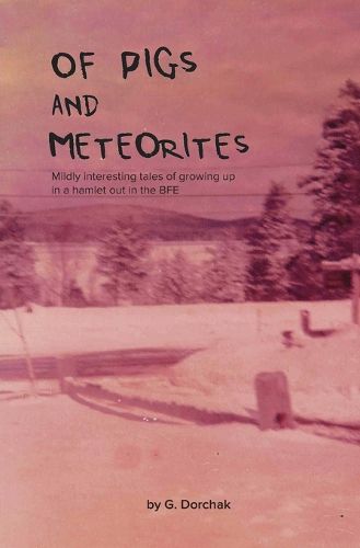 Cover image for Of Pigs and Meteorites