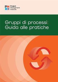 Cover image for Process Groups (Italian Edition)