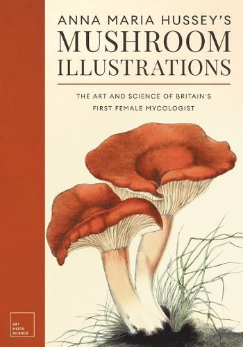 Cover image for Anna Maria Hussey's Mushroom Illustrations