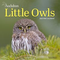 Cover image for Audubon Little Owls Mini Wall Calendar 2025