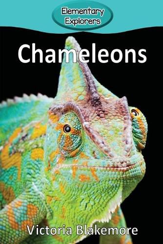 Cover image for Chameleons