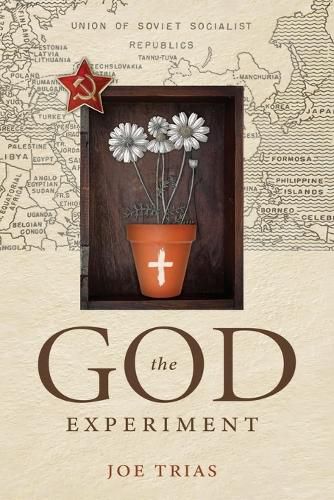 Cover image for The God Experiment