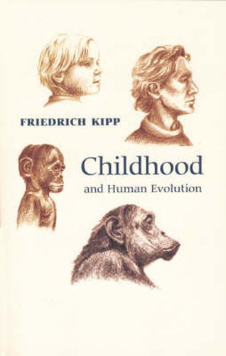 Cover image for Childhood and Human Evolution