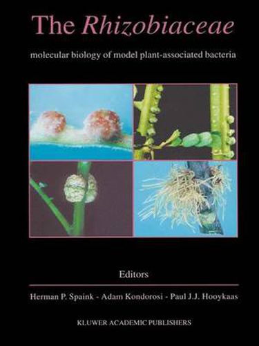 Cover image for The Rhizobiaceae: Molecular Biology of Model Plant-Associated Bacteria