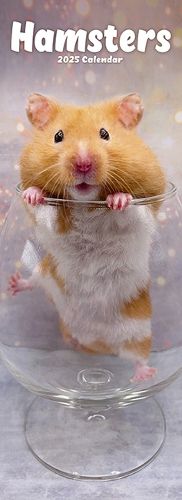 Cover image for Hamsters Slim Calendar 2025 Cute Slimline Calendar - 12 Month