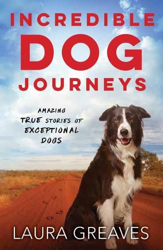 Cover image for Incredible Dog Journeys