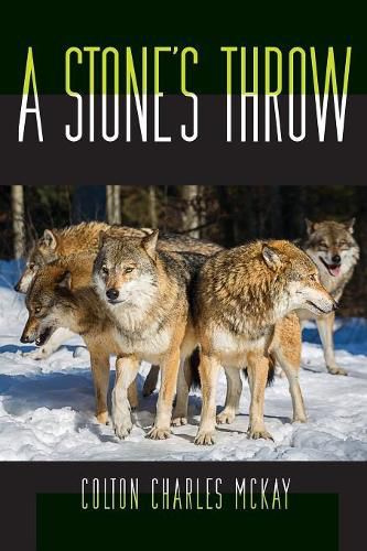 Cover image for A Stone's Throw