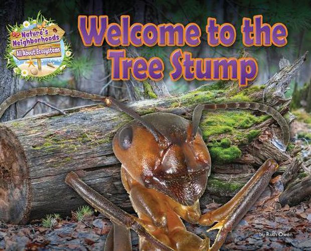 Cover image for Welcome to the Tree Stump