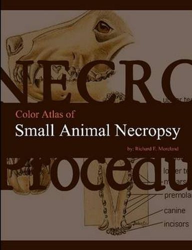 Cover image for Color Atlas of Small Animal Necropsy