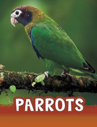 Cover image for Parrots