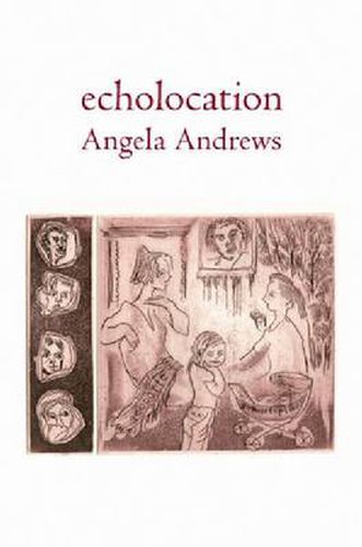Cover image for Echolocation