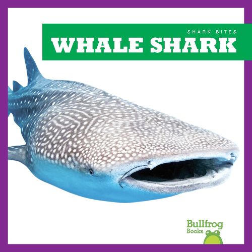 Cover image for Whale Shark