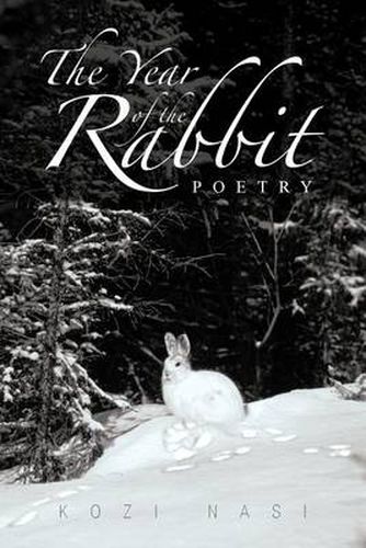 Cover image for The Year of the Rabbit