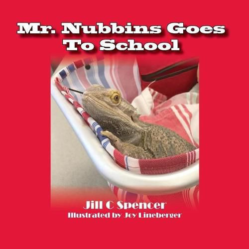 Cover image for Mr. Nubbins Goes to School