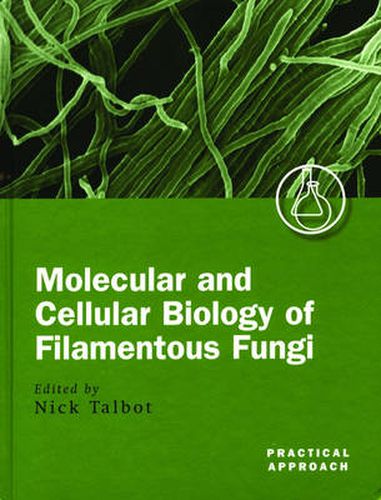Cover image for Molecular and Cell Biology of Filamentous Fungi