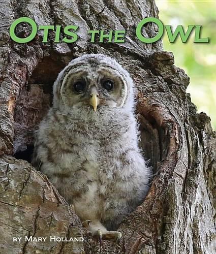 Cover image for Otis the Owl