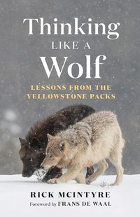 Cover image for Thinking Like a Wolf