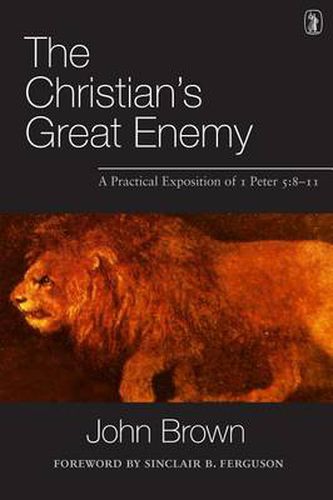 Cover image for The Christian's Great Enemy: A Practical Exposition of 1 Peter 5:8-11