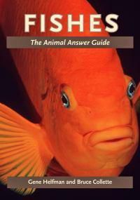 Cover image for Fishes: The Animal Answer Guide
