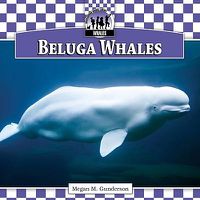 Cover image for Beluga Whales