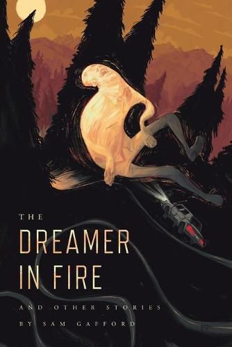 Cover image for The Dreamer in Fire and Other Stories