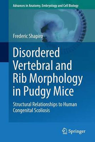 Cover image for Disordered Vertebral and Rib Morphology in Pudgy Mice: Structural Relationships to Human Congenital Scoliosis