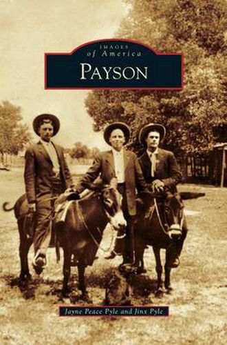 Cover image for Payson