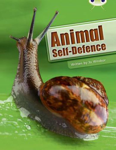 Cover image for Bug Club Guided Non Fiction Year Two White B Animal Self Defence