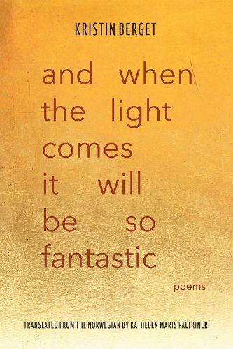Cover image for And When the Light Comes It Will Be So Fantastic