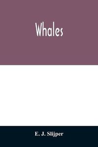 Cover image for Whales