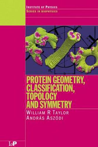 Cover image for Protein Geometry, Classification, Topology and Symmetry: A Computational Analysis of Structure