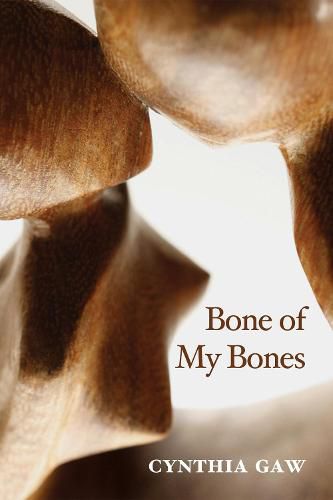 Cover image for Bone of My Bones