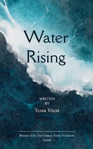 Cover image for Water Rising