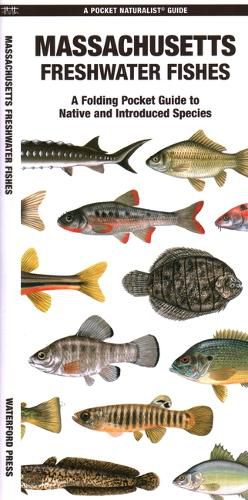 Cover image for Massachusetts Freshwater Fishes