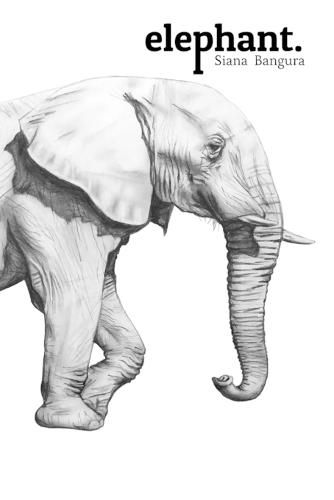 Cover image for Elephant