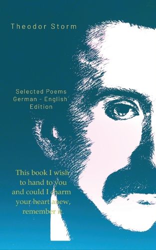 Cover image for Theodor Storm
