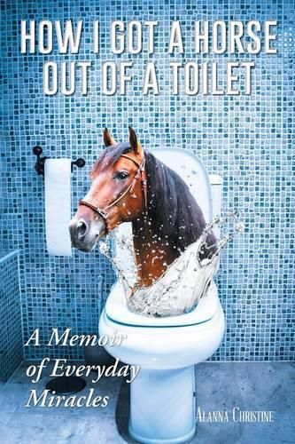 Cover image for How I Got a Horse Out of a Toilet