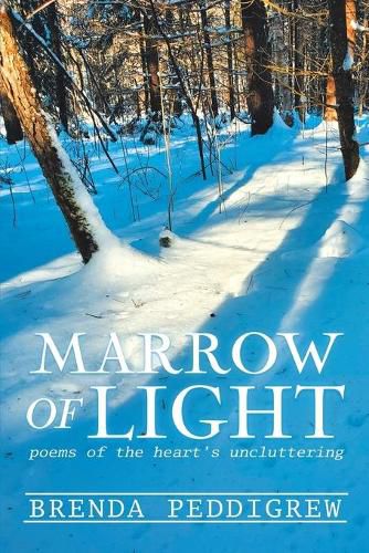 Cover image for Marrow of Light