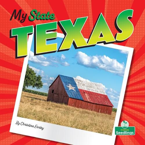 Cover image for Texas