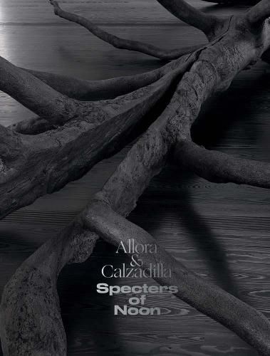 Cover image for Allora & Calzadilla Specters of Noon