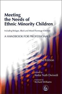 Cover image for Meeting the Needs of Ethnic Minority Children - Including Refugee, Black and Mixed Parentage Children: A Handbook for Professionals