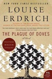 Cover image for Plague of Doves