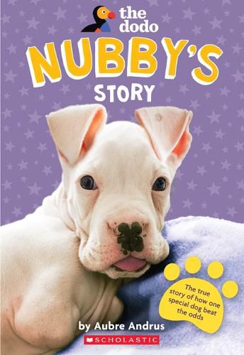 Cover image for Nubby's Story (the Dodo)