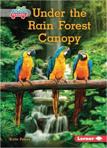 Cover image for Under the Rain Forest Canopy