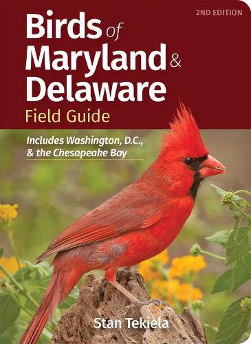 Cover image for Birds of Maryland & Delaware Field Guide: Includes Washington, D.C., and Chesapeake Bay