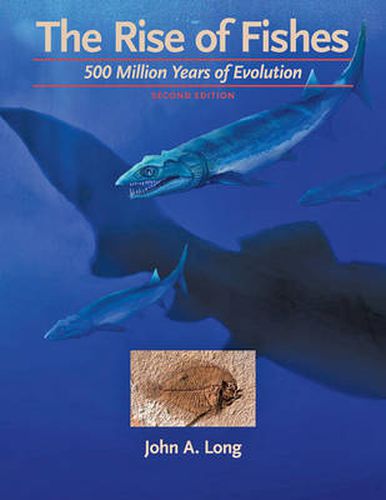 Cover image for The Rise of Fishes: 500 Million Years of Evolution