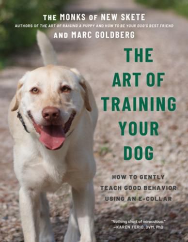 Cover image for The Art of Training Your Dog: How to Gently Teach Good Behavior Using an E-Collar