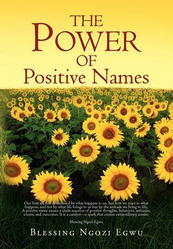 Cover image for The Power of Positive Names